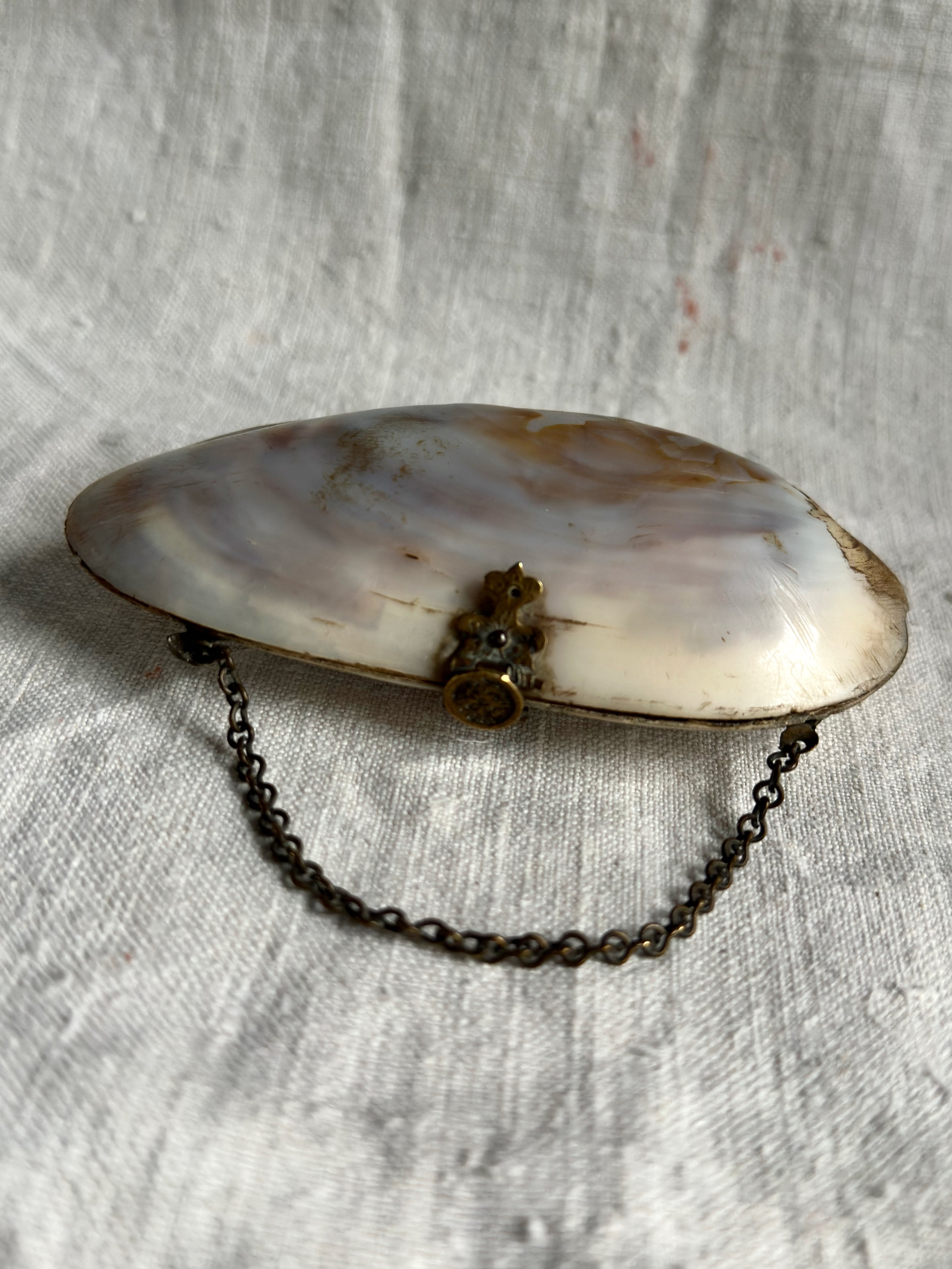 Antique Mother of Pearl Coin Purse