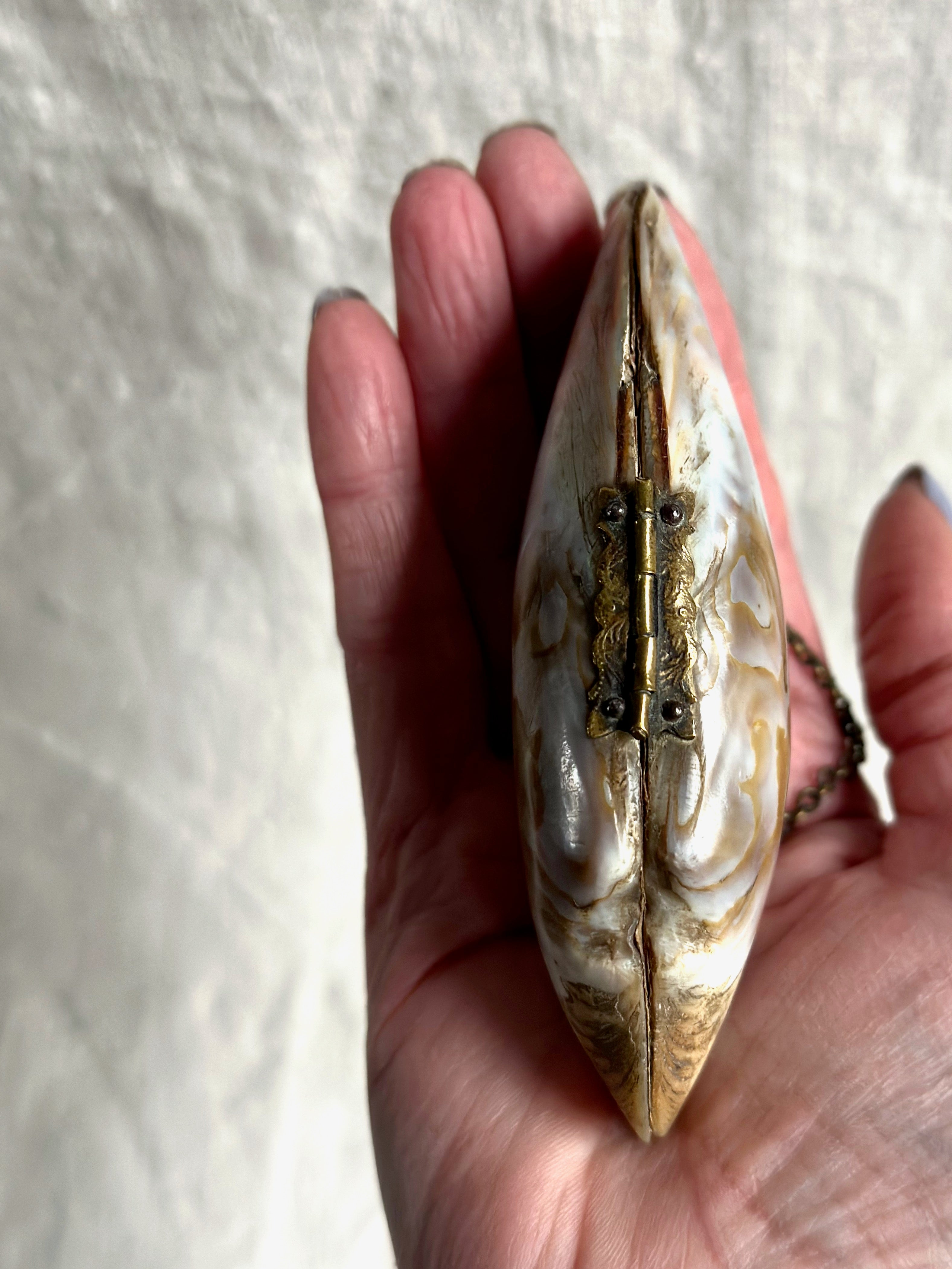 Antique Mother of Pearl Coin Purse