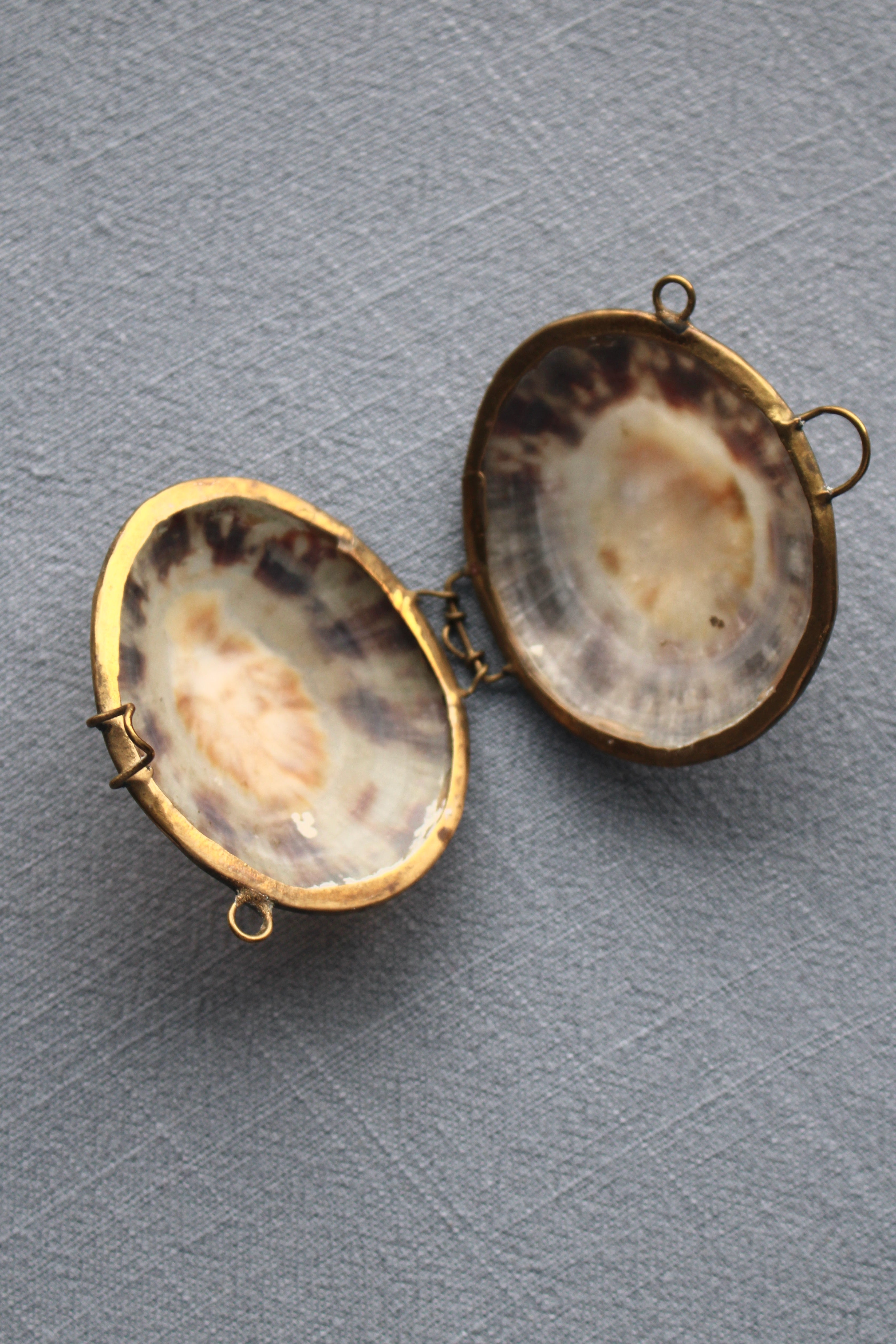 Vintage Natural Cowrie Shell Box