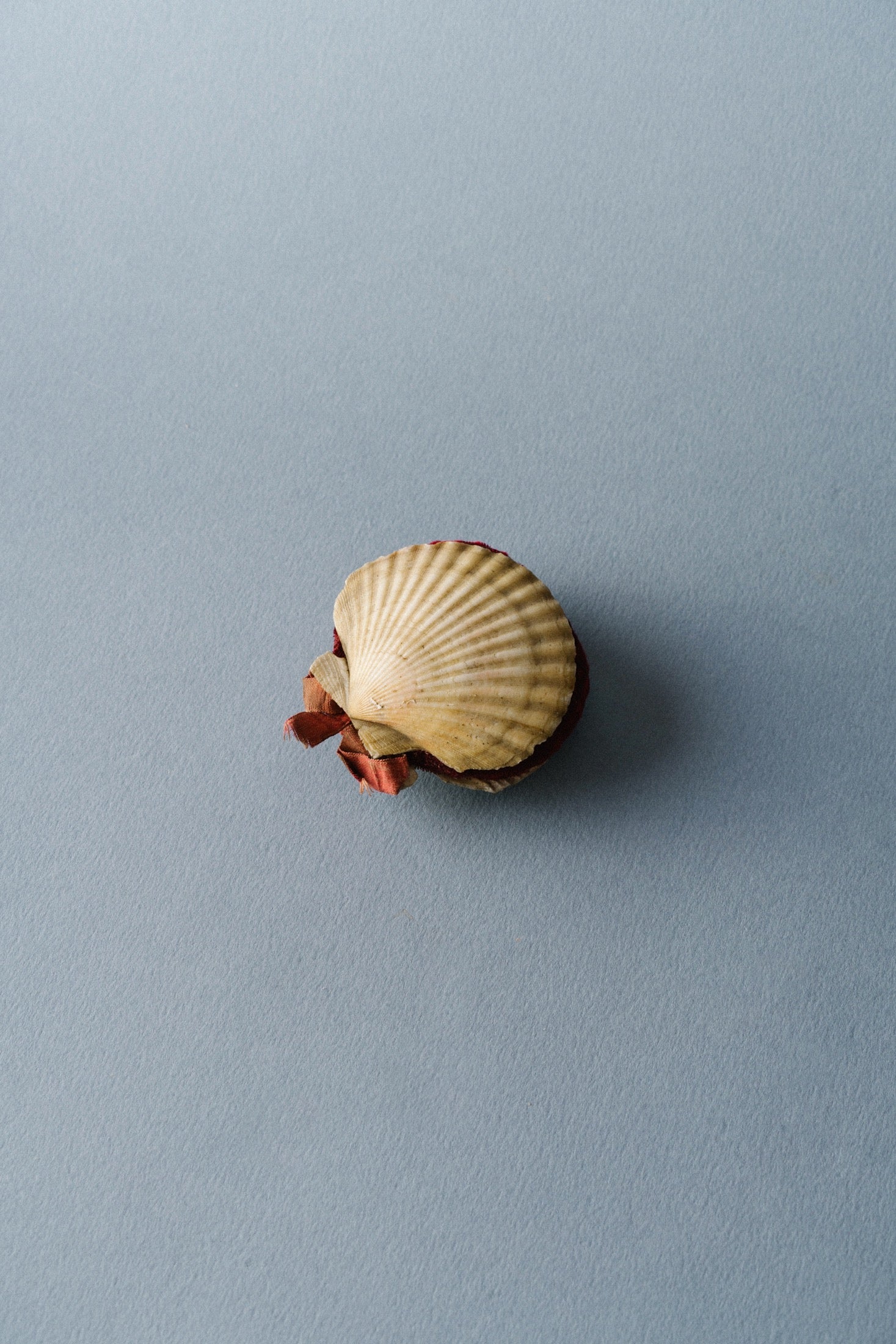 Vintage Sea Shell Pin Cushion