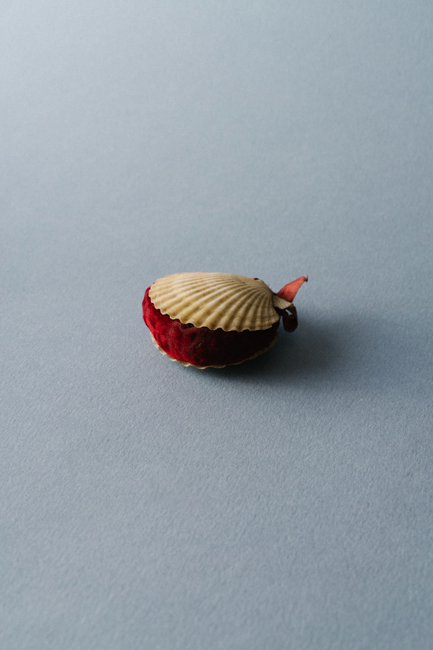 Vintage Sea Shell Pin Cushion