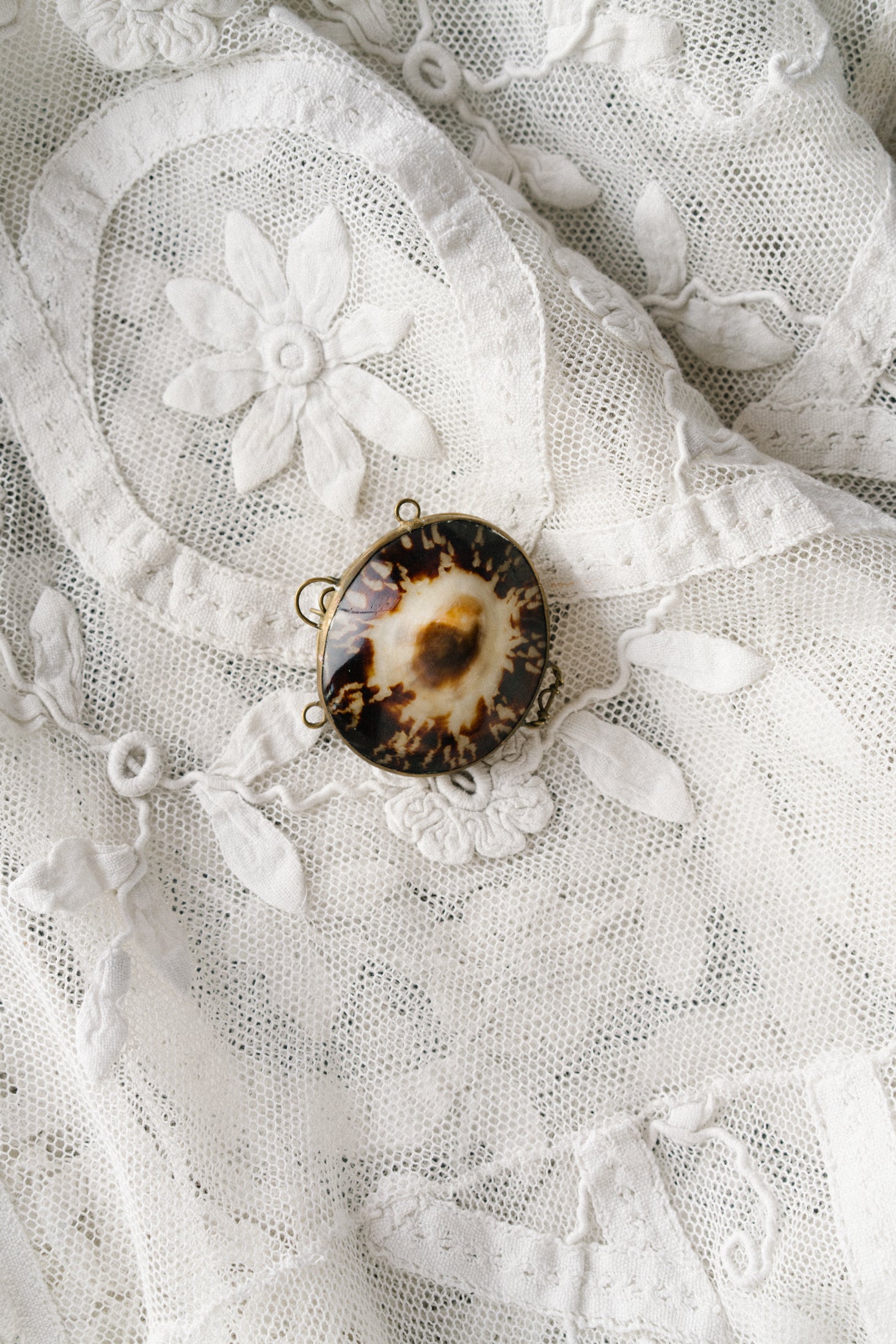 Vintage Natural Cowrie Shell Box