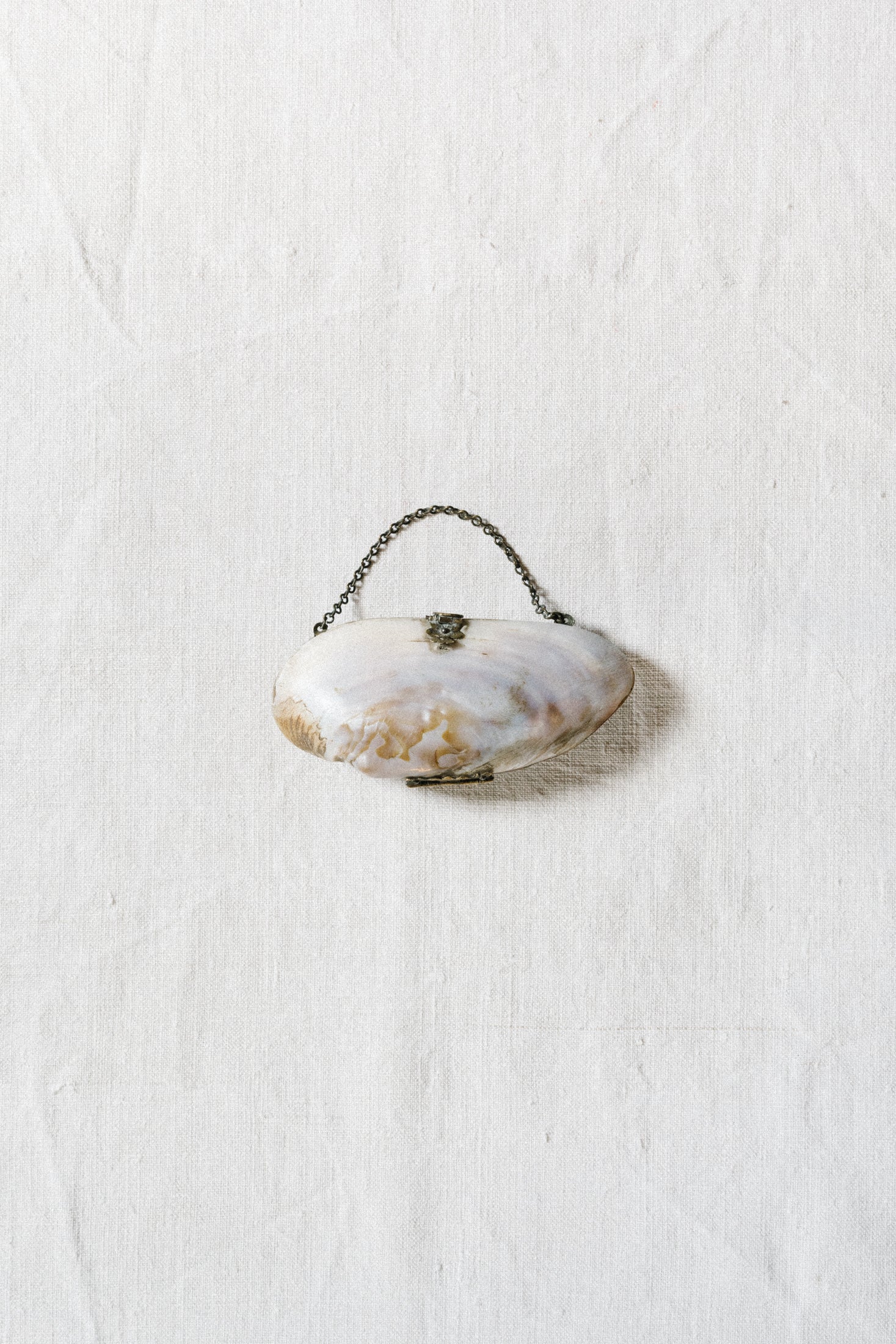 Antique Mother of Pearl Coin Purse